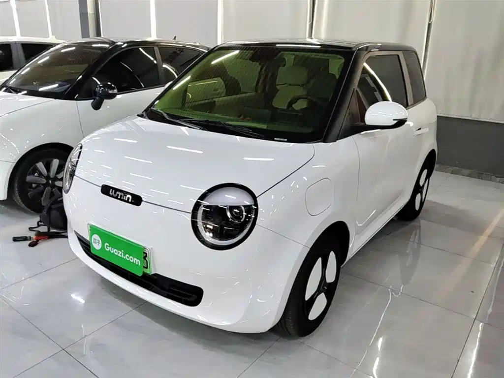 Qiyuan Lumin 2025