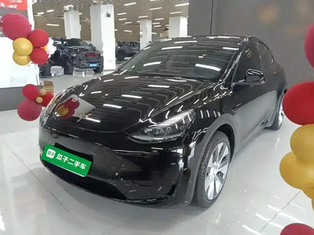 Tesla Model