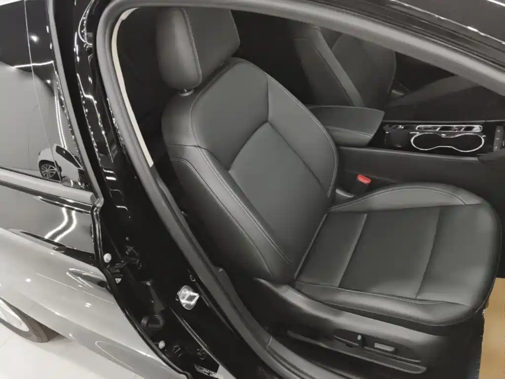 Buick Regal — миниатюра 25