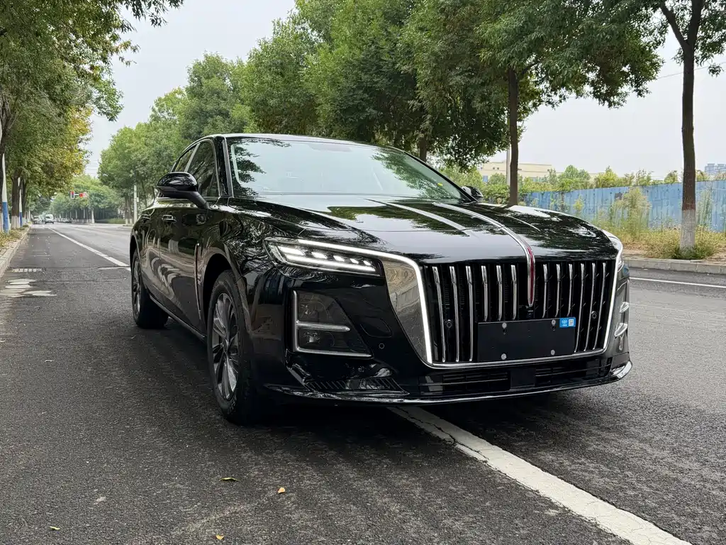 Hongqi Hongqi H5 — миниатюра 3