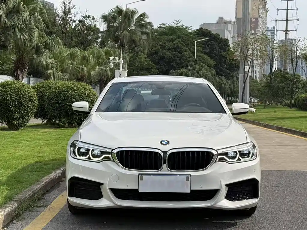BMW 5 Series 5 2020 530Li Lead M Sport