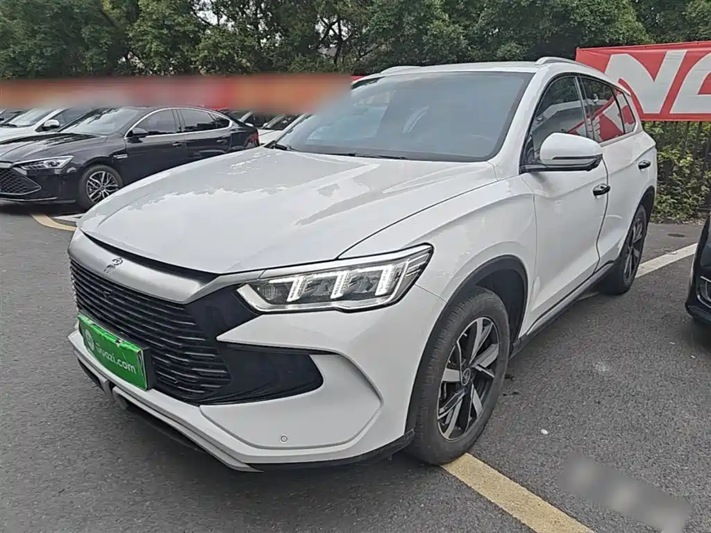 Byd Pro New Energy 2024
