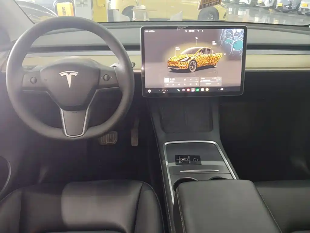 Tesla Model Y — миниатюра 10
