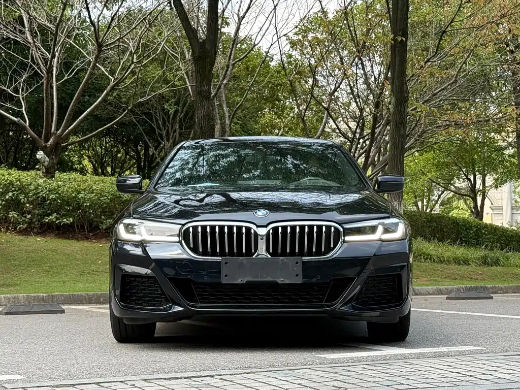 BMW 5 Series — миниатюра 2