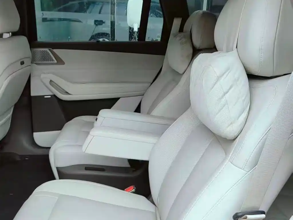Denza Zoom N8L — миниатюра 4