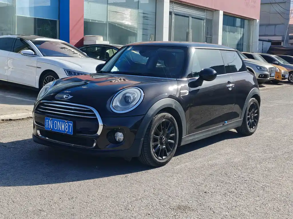 Mini Mini 2015