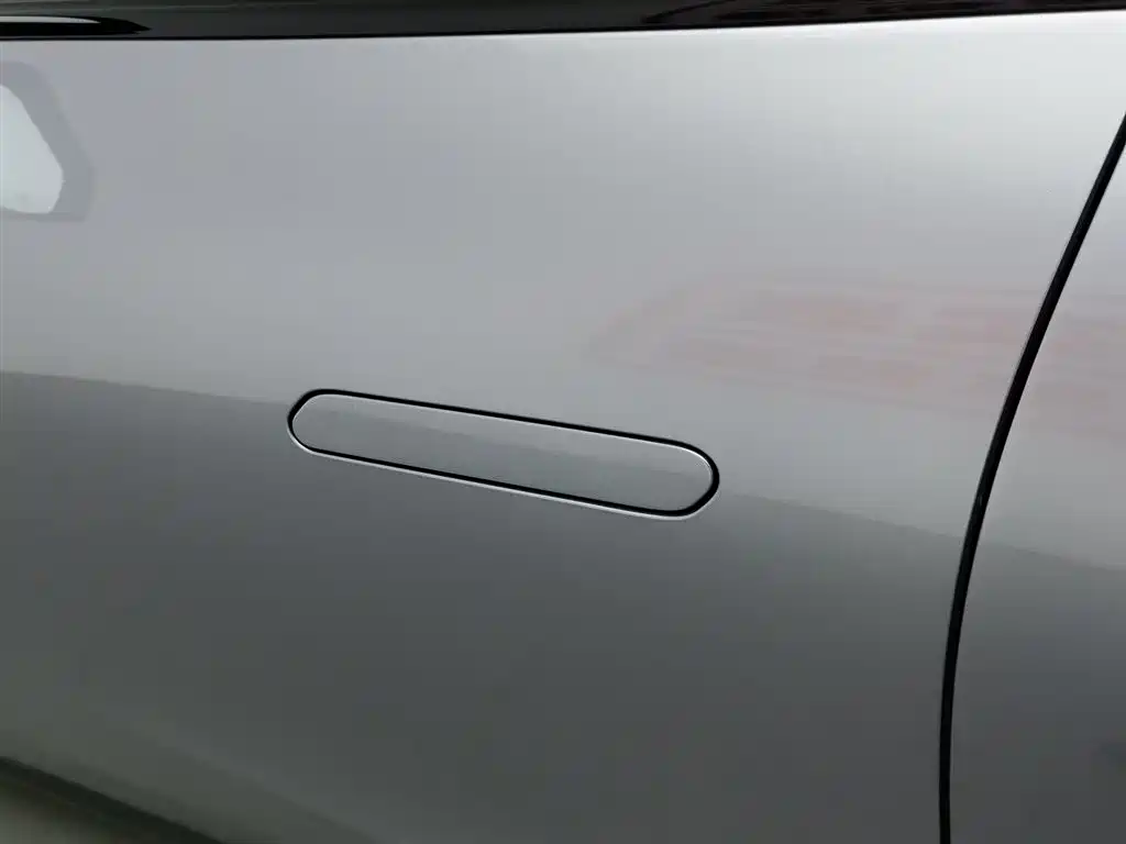 ARCFOX EXTREME FOX POLAR FOX ALPHA S5