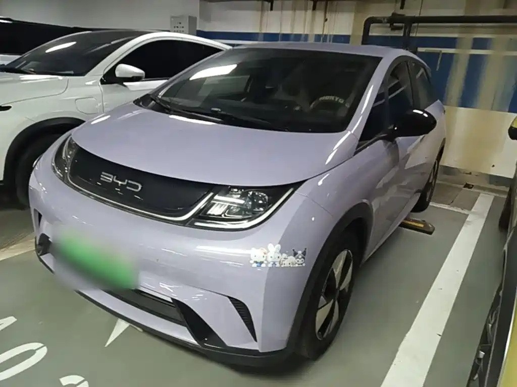 BYD Dolphin — миниатюра 2