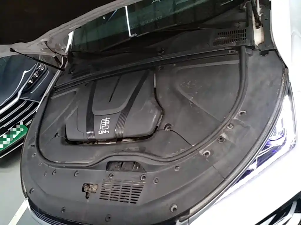 BYD Tang New Energy — миниатюра 20