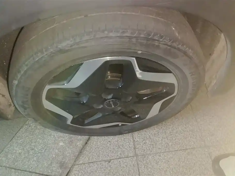 BYD Dolphin 2021 405km Freedom