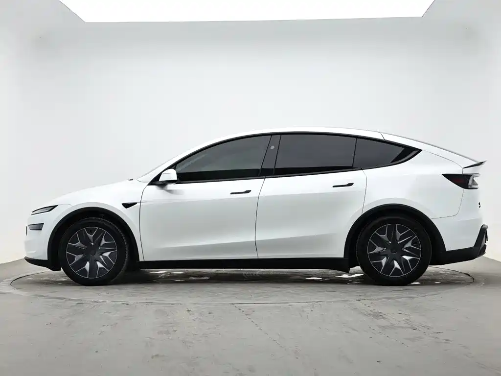 Tesla Model Y L — миниатюра 6