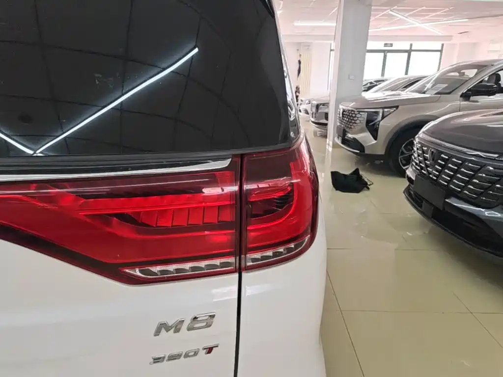 GAC Motor Trumpchi M8 — миниатюра 8