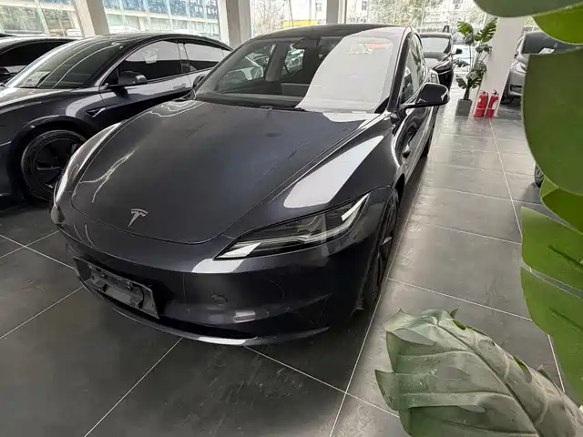 TESLA MODEL 3 2025