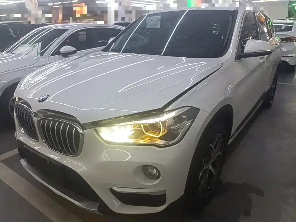 BMW X1 — миниатюра 2