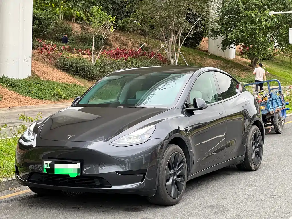 Tesla Model Y 2025
