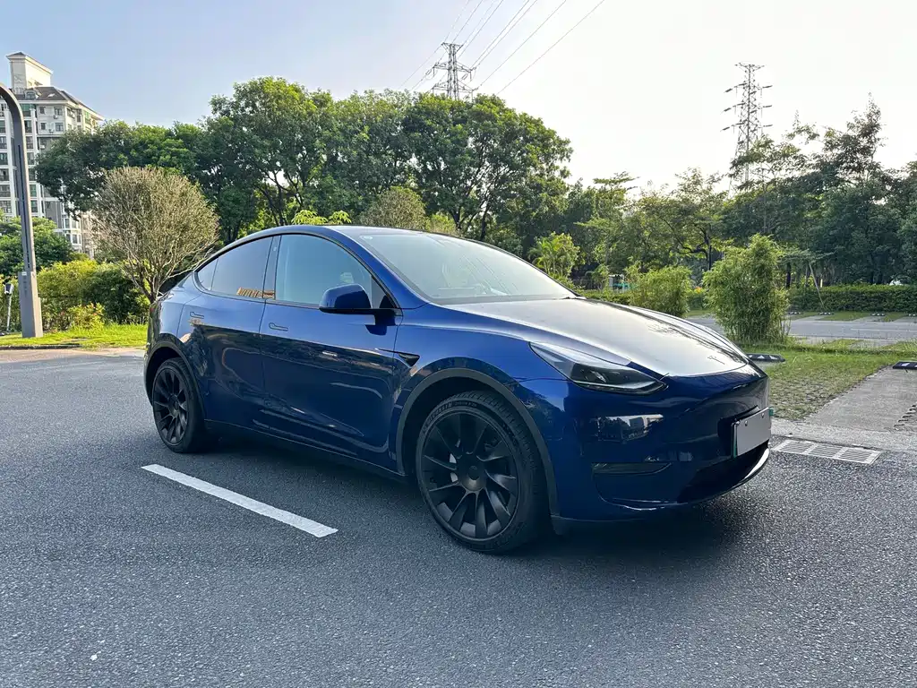 Tesla Model Y — миниатюра 8