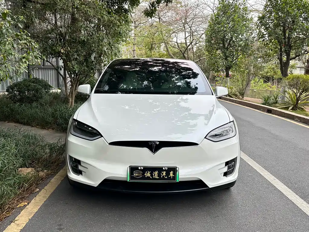 TESLA MODEL X
