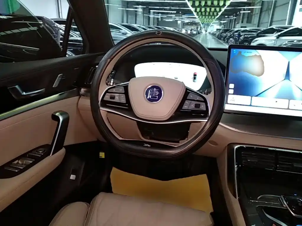 BYD Tang New Energy — миниатюра 11