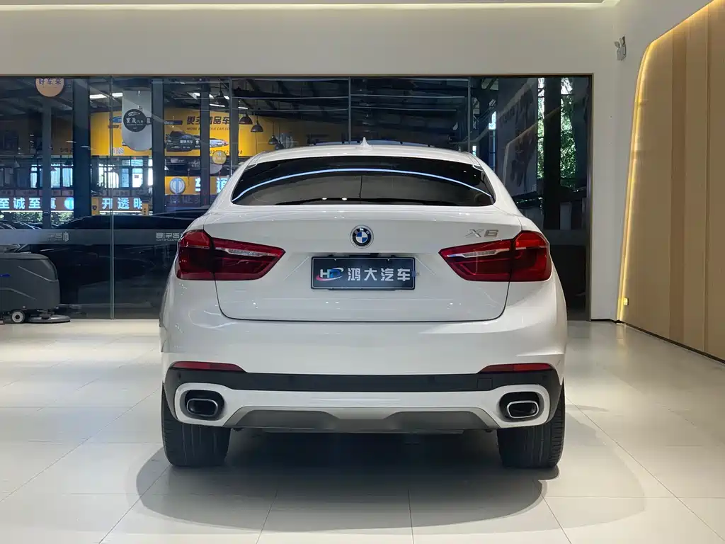 BMW X6 xDrive35i Leading Type, фото 4