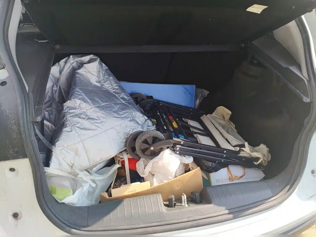 Chery Tiggo 3x — миниатюра 10