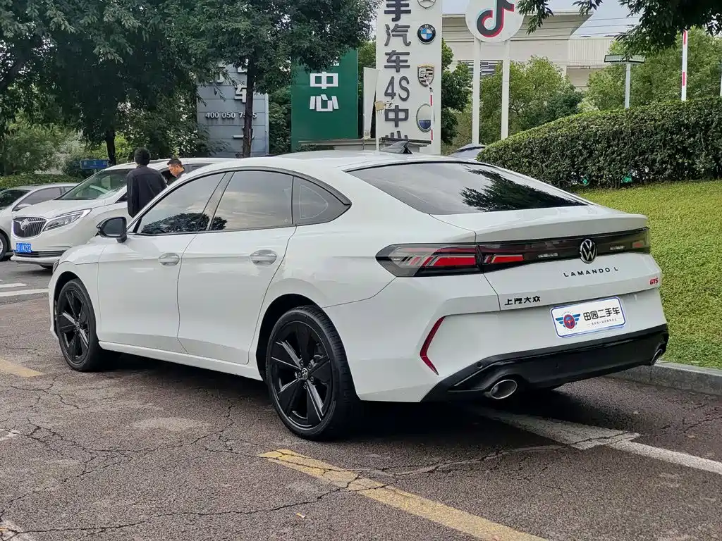 Volkswagen Lamando — миниатюра 4