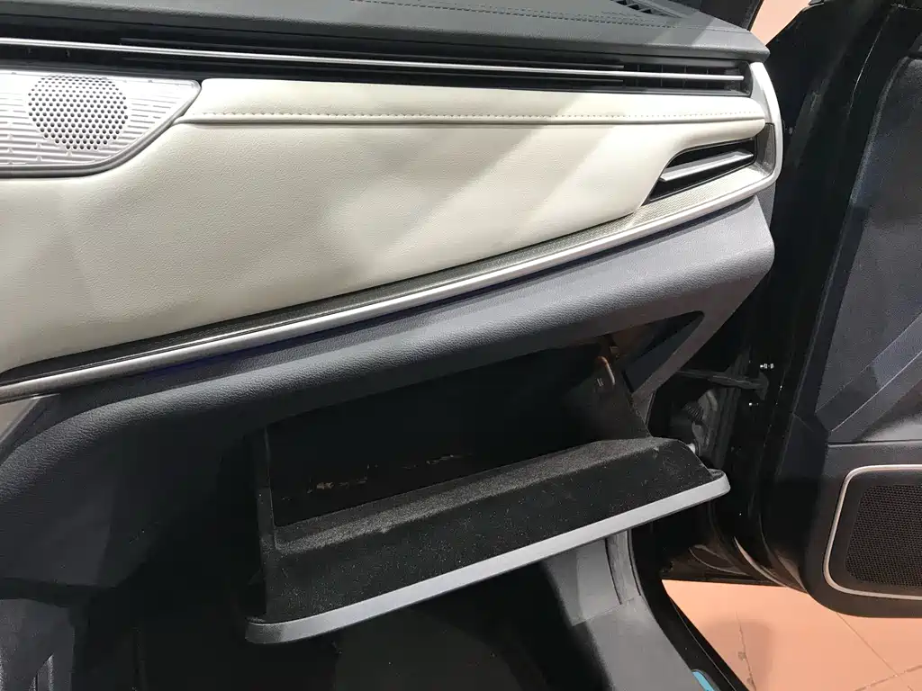 Weltmeister WEIMA EX5