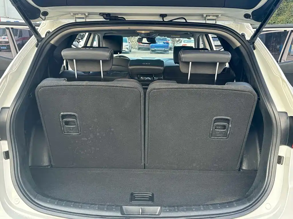 Hyundai Santa Fe 2.0T Auto 4WD Smart Type 7 seats, фото 10