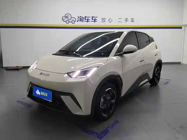 2024 BYD Seagull