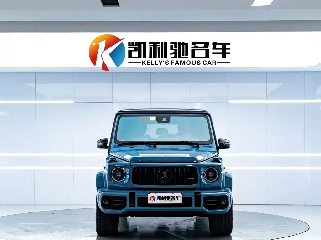 MERCEDES-BENZ G CLASS