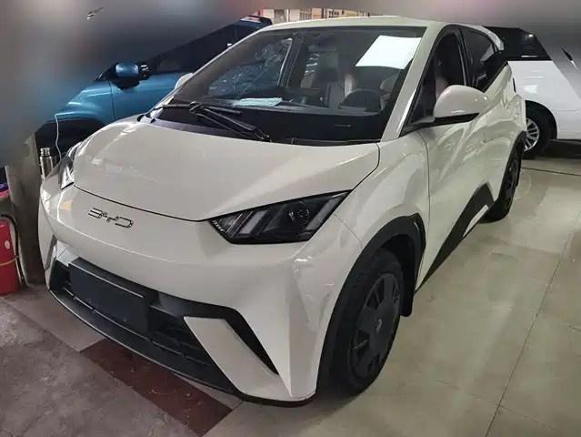 2023 BYD Seagull