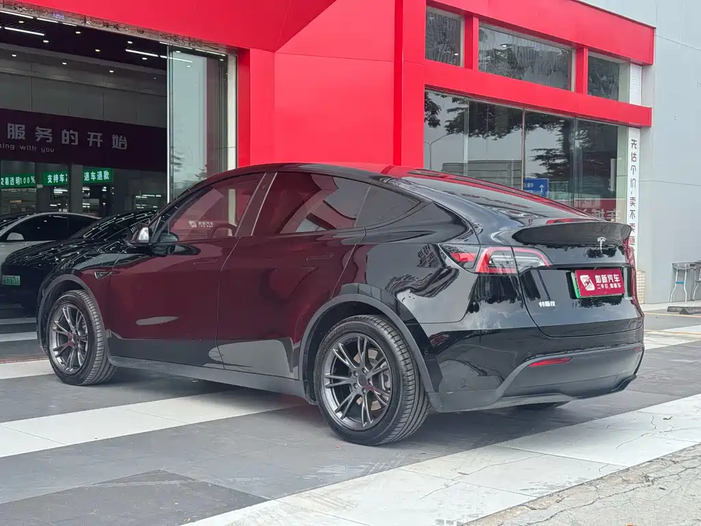 Tesla Model Y — миниатюра 5
