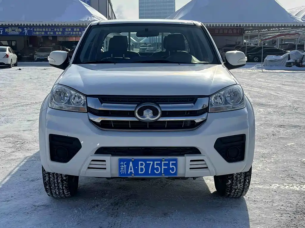 GREAT WALL FENGJUN 5