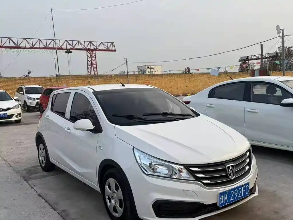 BAOJUN  310