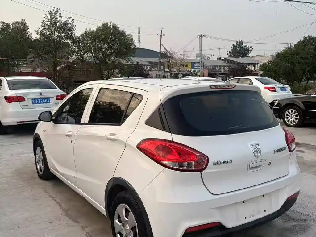 BAOJUN  310