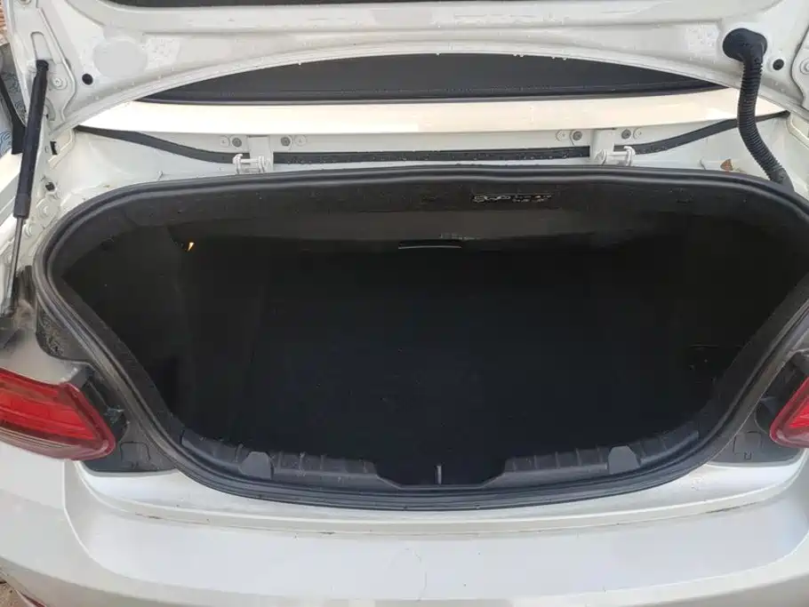 BMW 2 Series (Import) — миниатюра 4