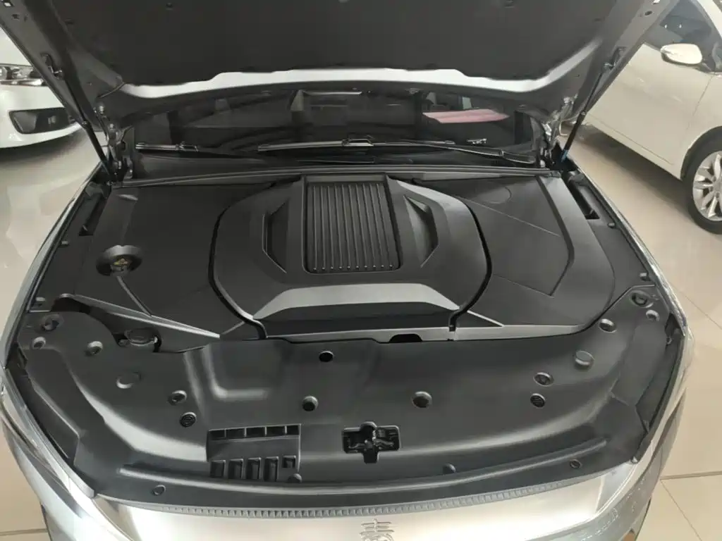 BYD Qin PLUS — миниатюра 20