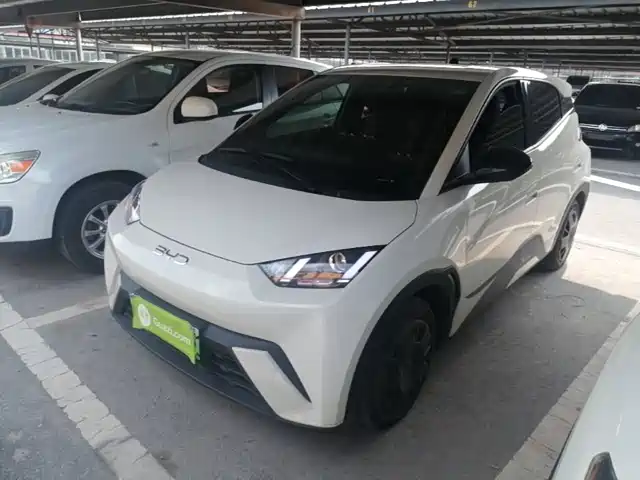 2024 BYD Seagull