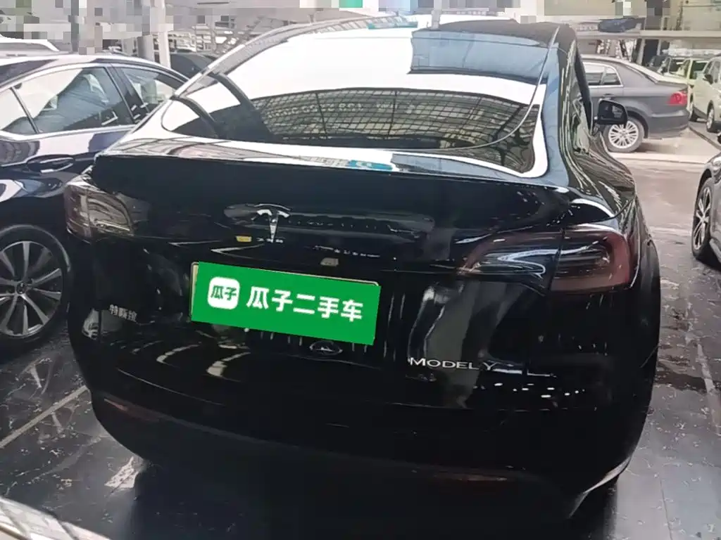 Tesla Model Y — миниатюра 6