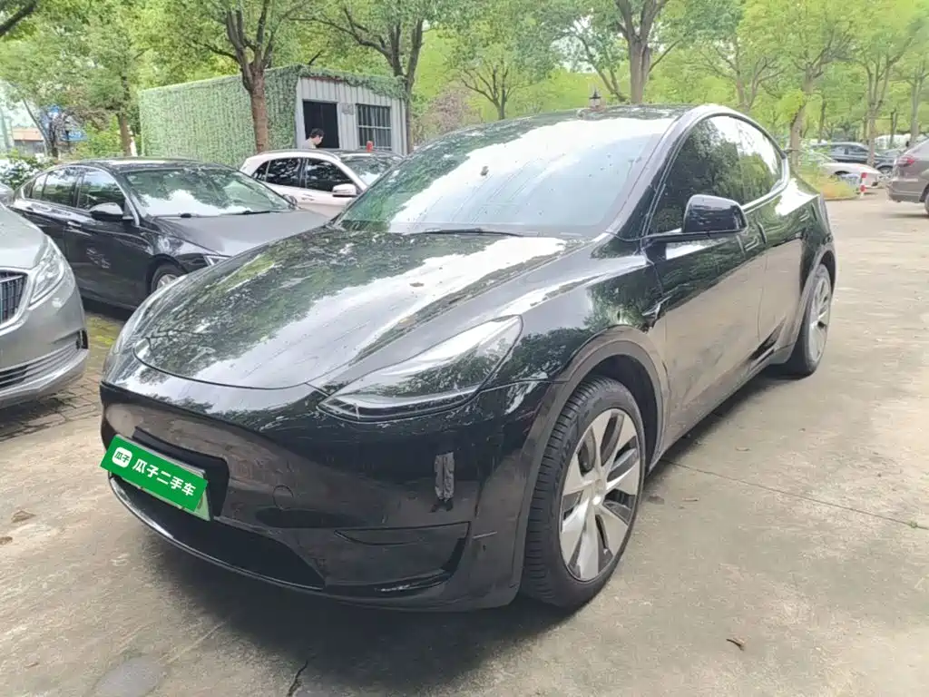 Tesla Model Y — миниатюра 2