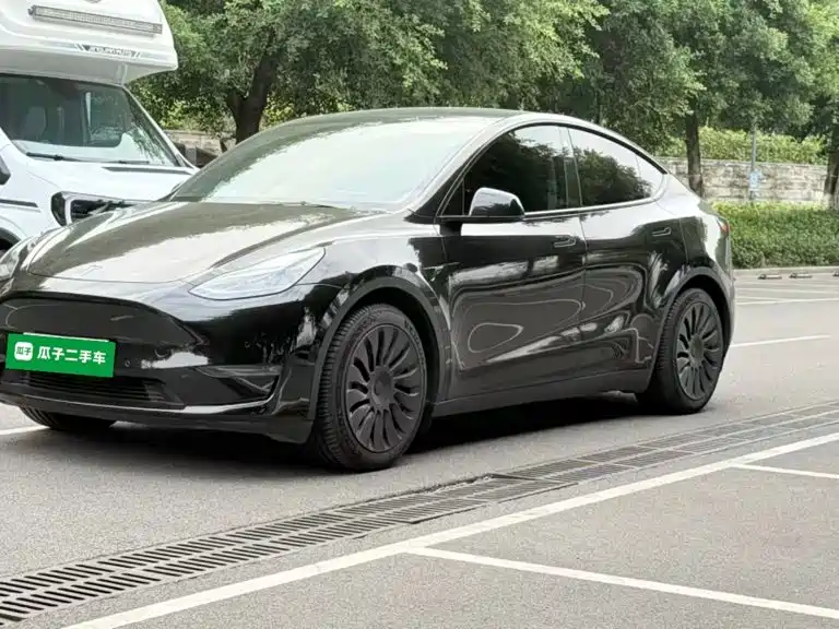 Tesla Model Y — миниатюра 2