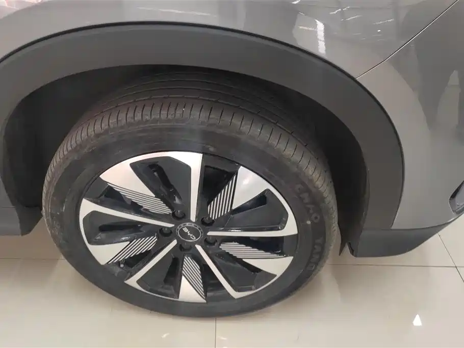 BYD SONGJIANG NEW ENERGY