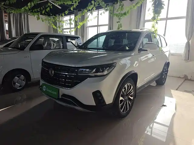 dongfeng popular-t5l