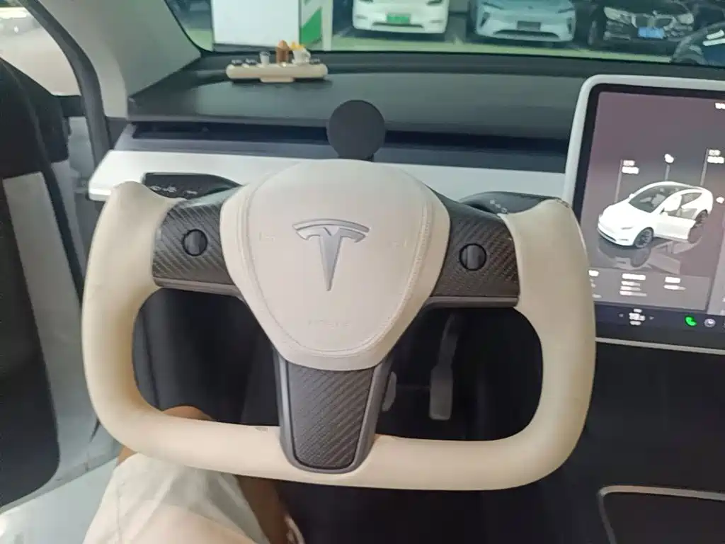Tesla Model Y — миниатюра 11