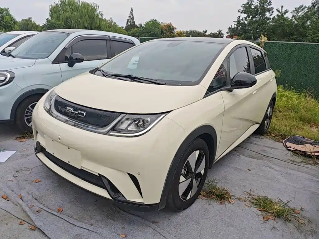 BYD Dolphin — миниатюра 2