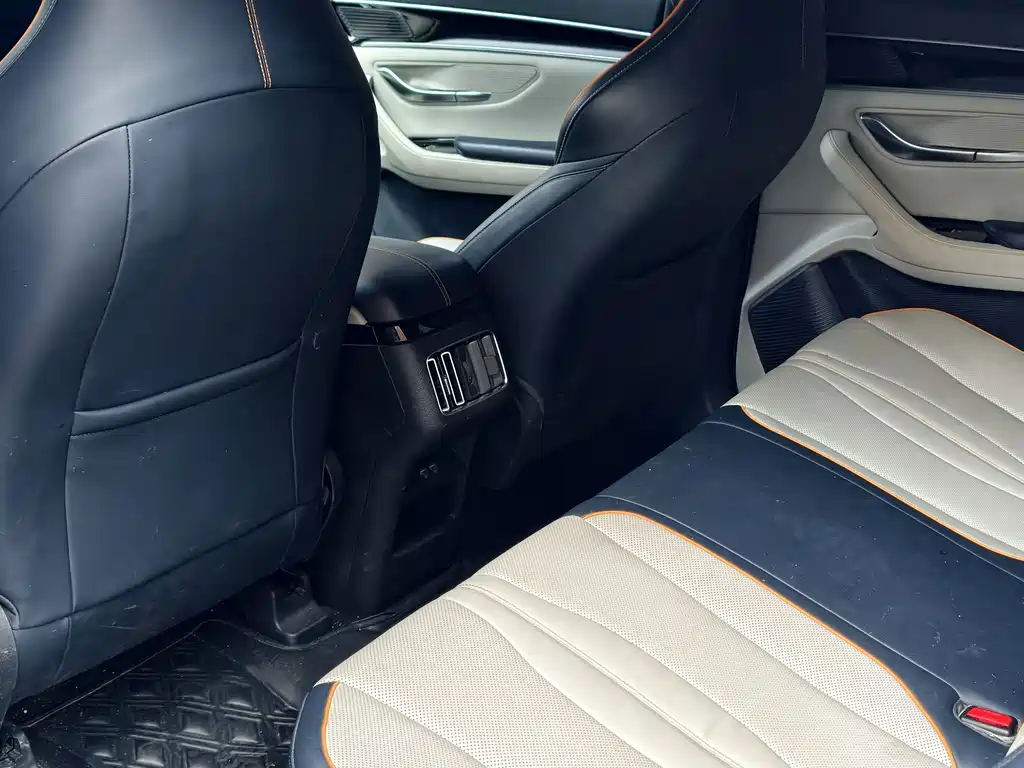 BYD PLUS New Energy — миниатюра 6