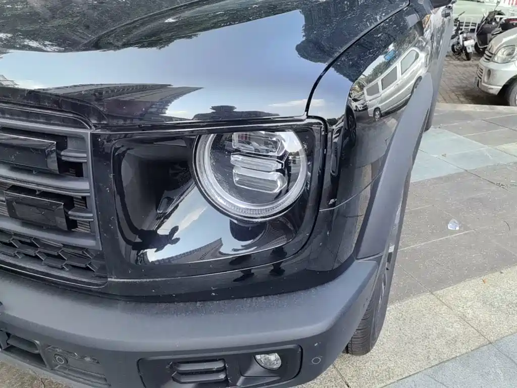 Haval Big Dog — миниатюра 24