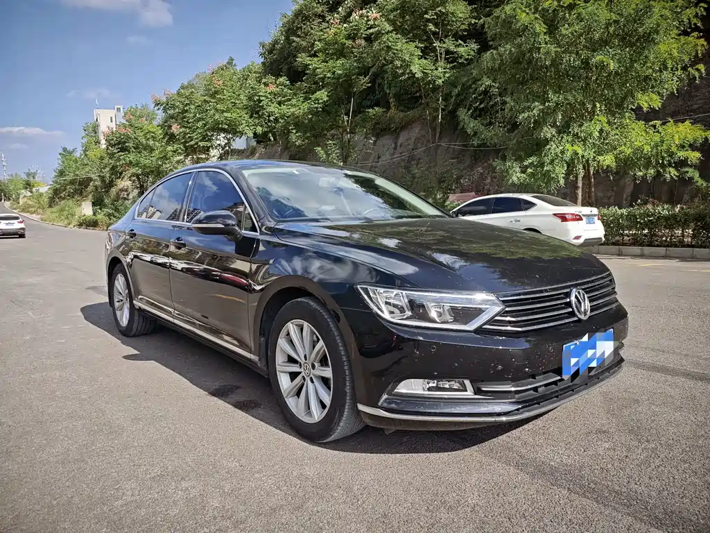 Volkswagen Magotan — миниатюра 2