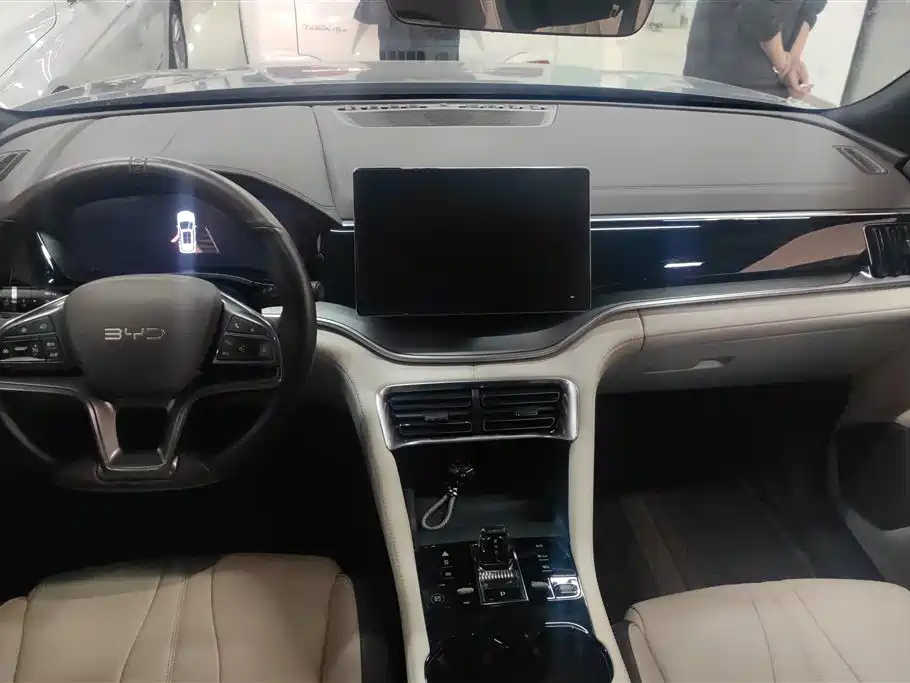 BYD SONGJIANG NEW ENERGY