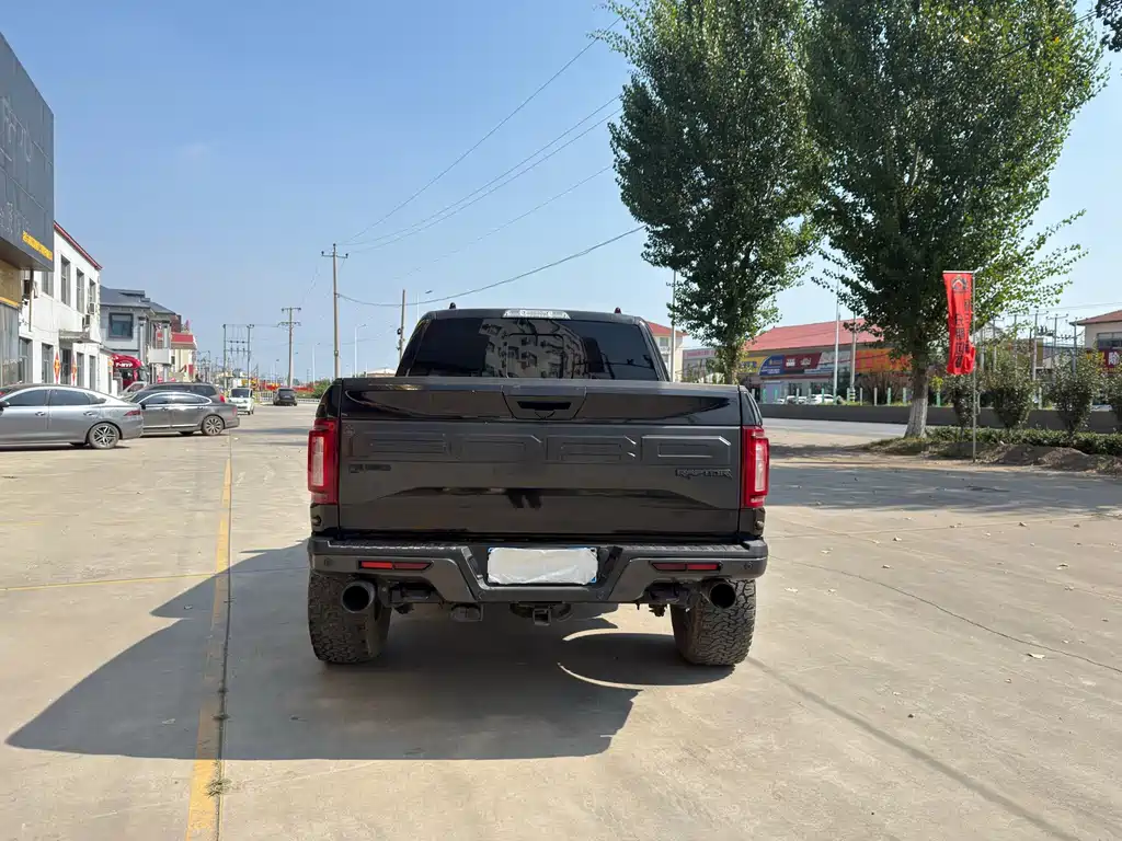 Ford F-150 Raptor — миниатюра 6