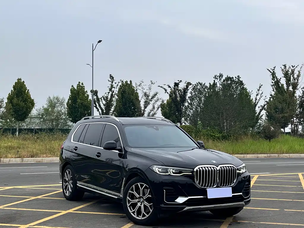 BMW X7 — миниатюра 3